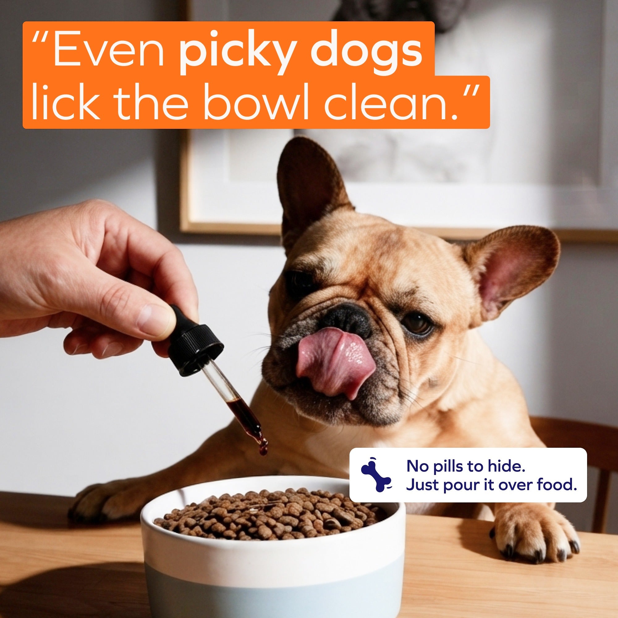 VIVOPET – the complete 4-layer liquid formula for aging dogs