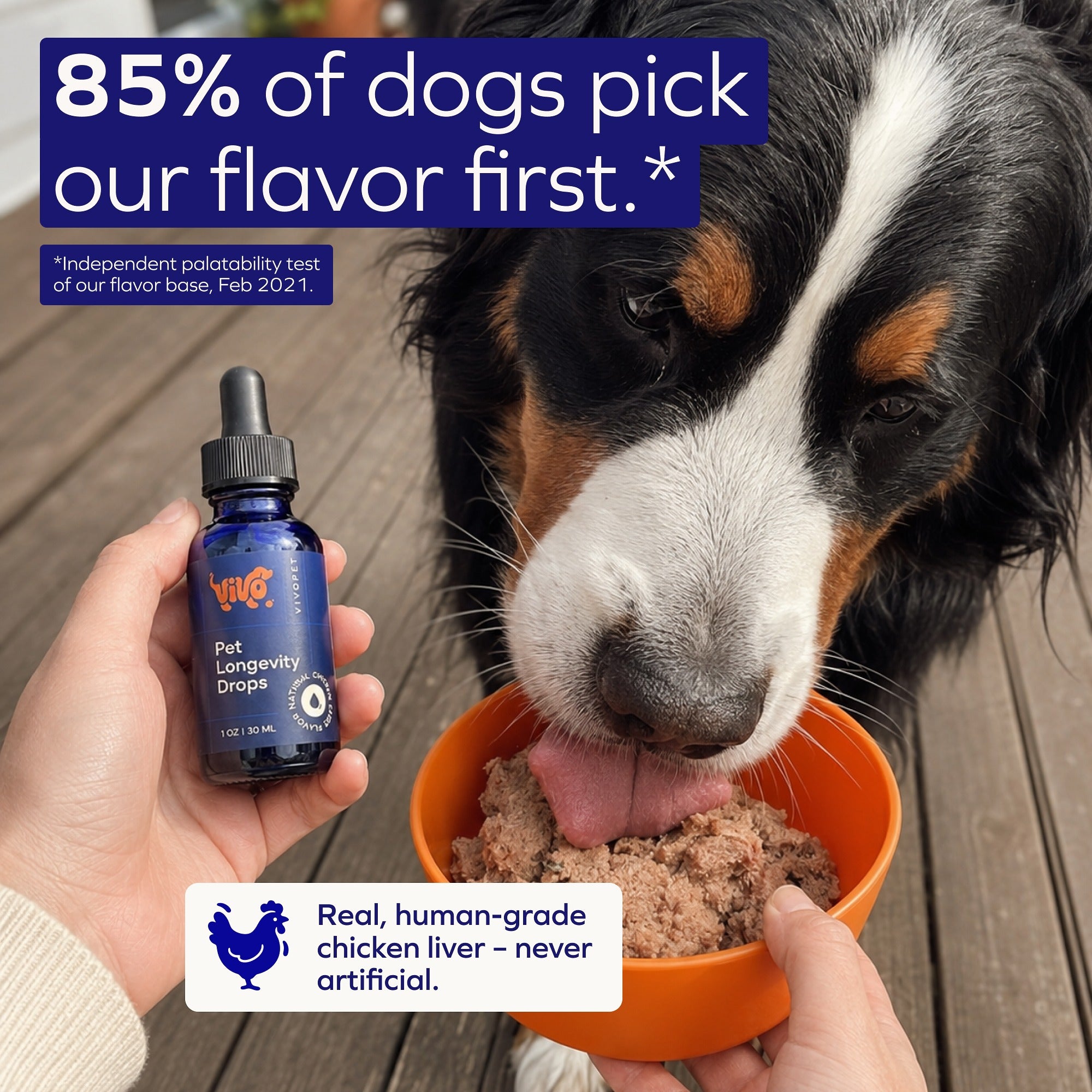 VIVOPET – the complete 4-layer liquid formula for aging dogs